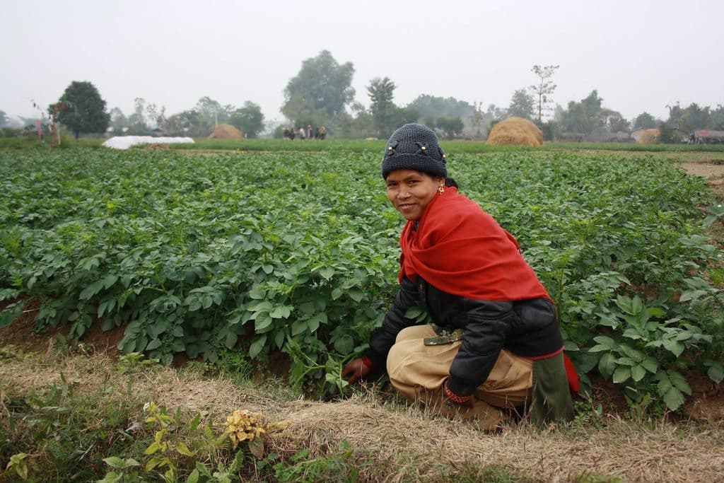 The founder's father working the fields